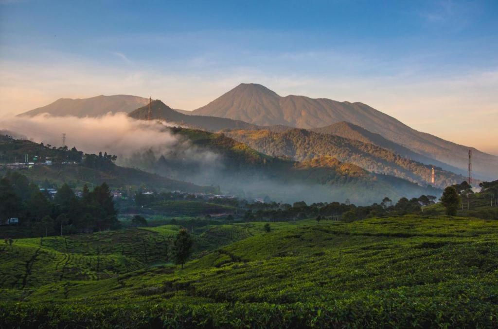 Green Wattana Hotel Sentul Bogor Dış mekan fotoğraf